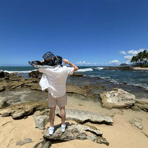 🕸️ ##Lyfë tweet media