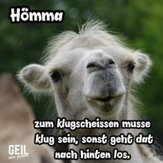 Anne💥 Q 💫 tweet media