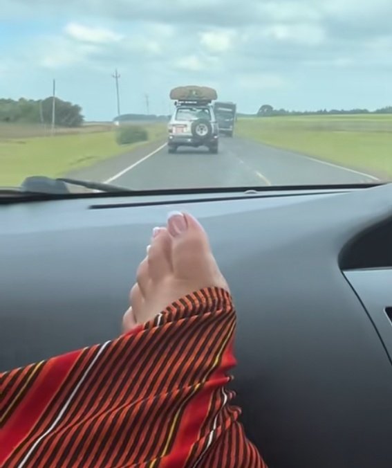 pettywrap tweet media