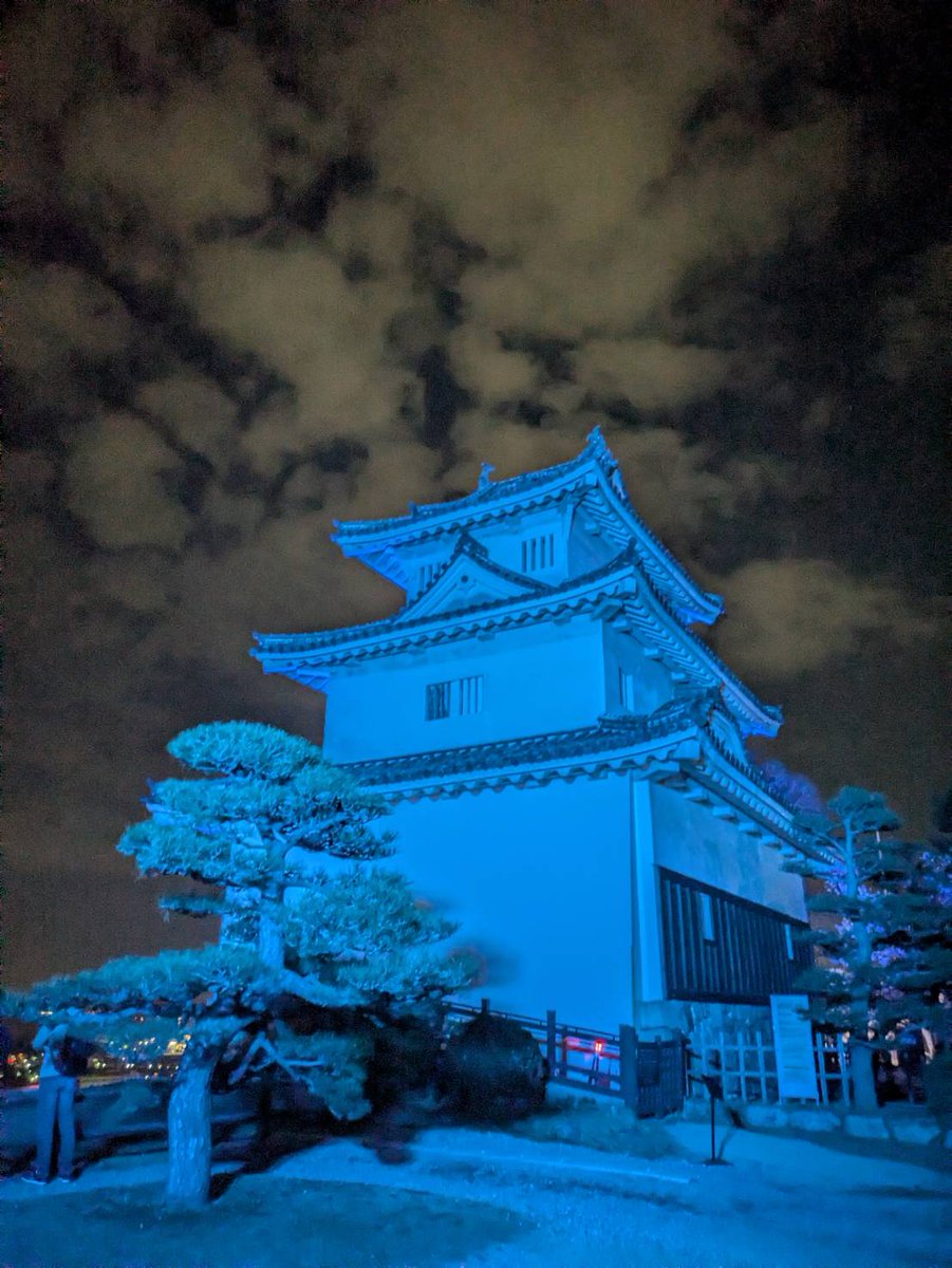 7月に丸亀市社会福祉協議会さんとのコラボ企画を予定していて、打ち合わせ前に、夜の丸亀城を歩いてきました。
現存12天守のひとつである丸亀城には、3つの日本一があります。
・日本一高い石垣
・日本一深い井戸
・現存天守で日本一小さい天守
丸亀城は、やっぱりかわいくてカッコいい

#丸亀城