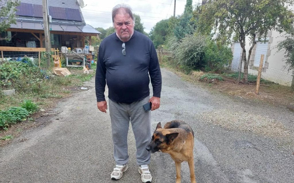 sergio-dde🐭🐞 tweet media