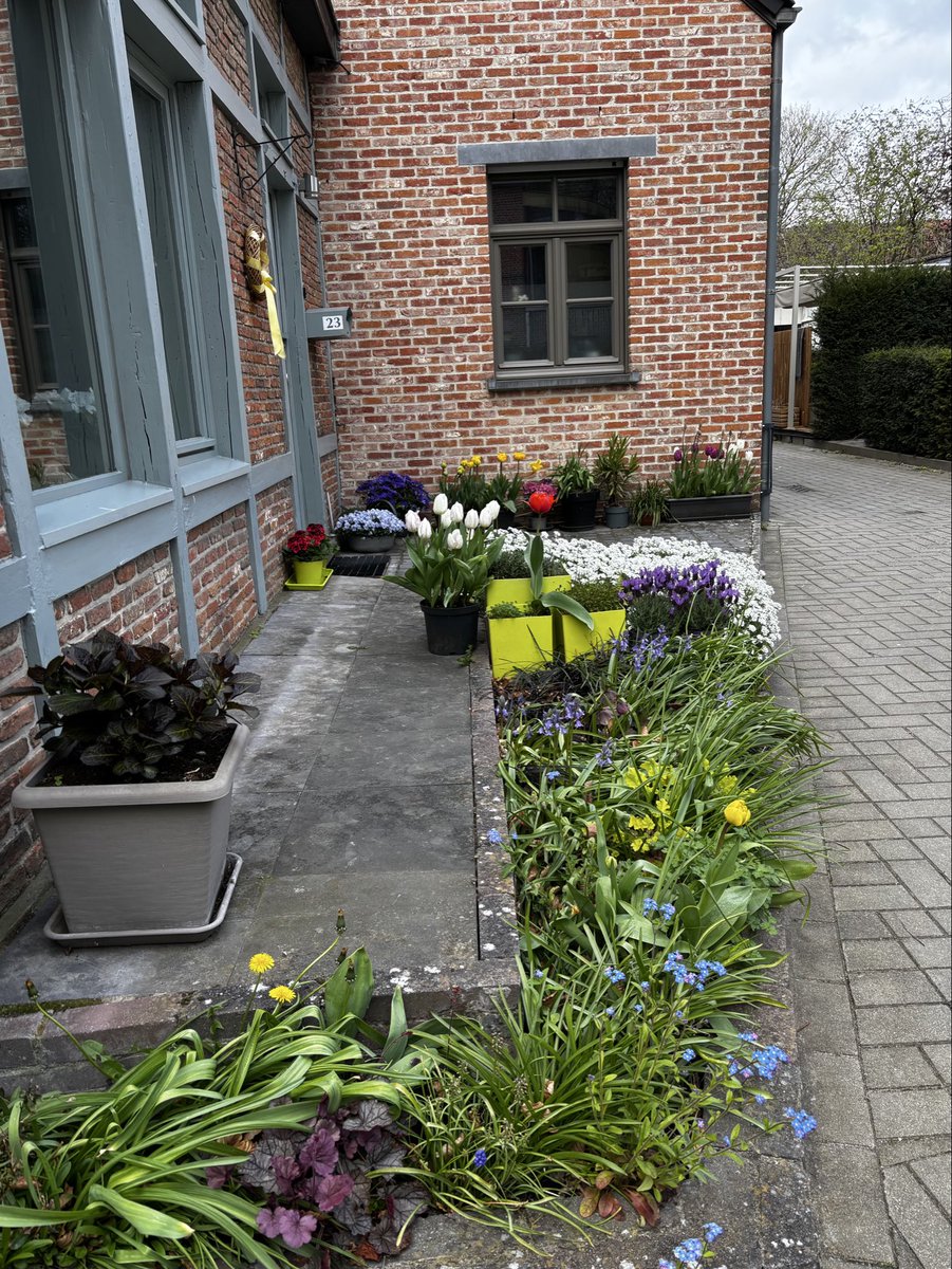 Gart Scheppers 🕊💙🕊️ tweet media