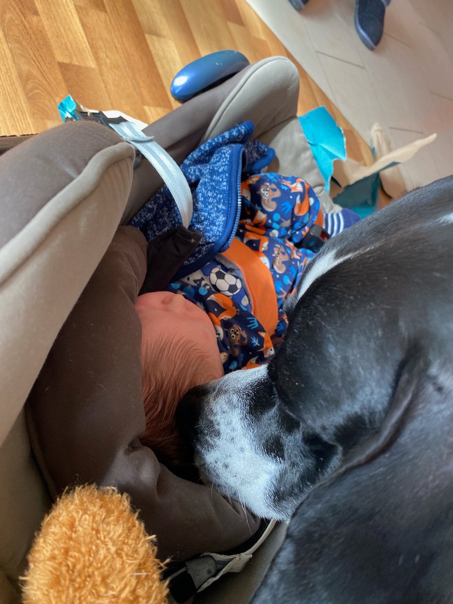 El Keiler tweet media