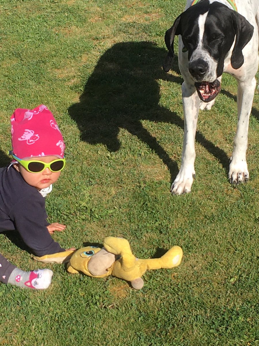 El Keiler tweet media