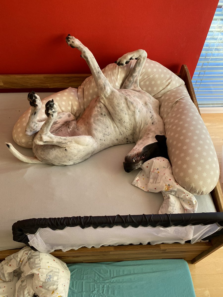 El Keiler tweet media