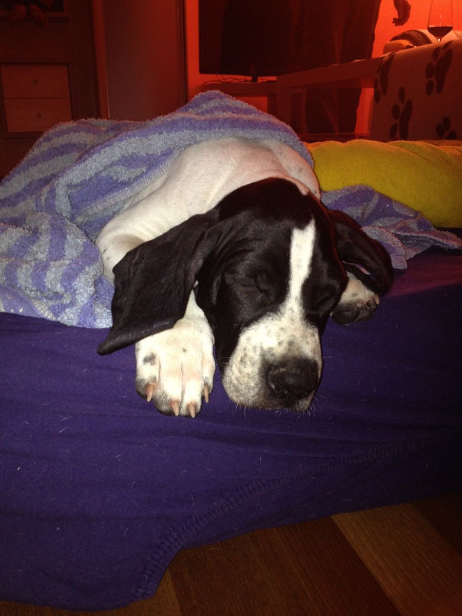 El Keiler tweet media