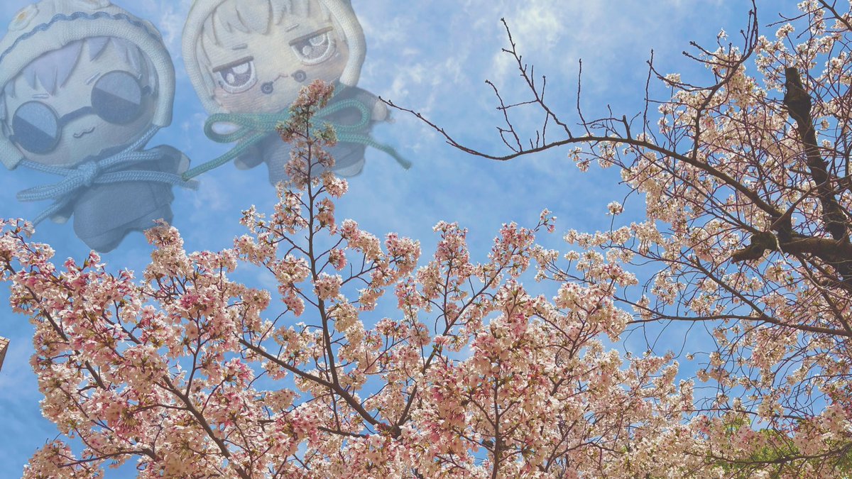 🌸を見ることは出来たけど今年は小さきものたち撮ることできなかったな〜🥺💭