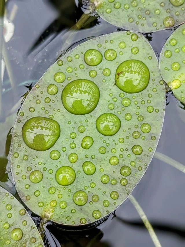 jesus martin santos tweet media