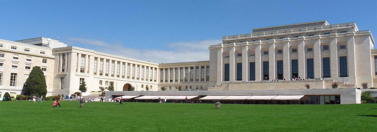 Peace Palace Library tweet media