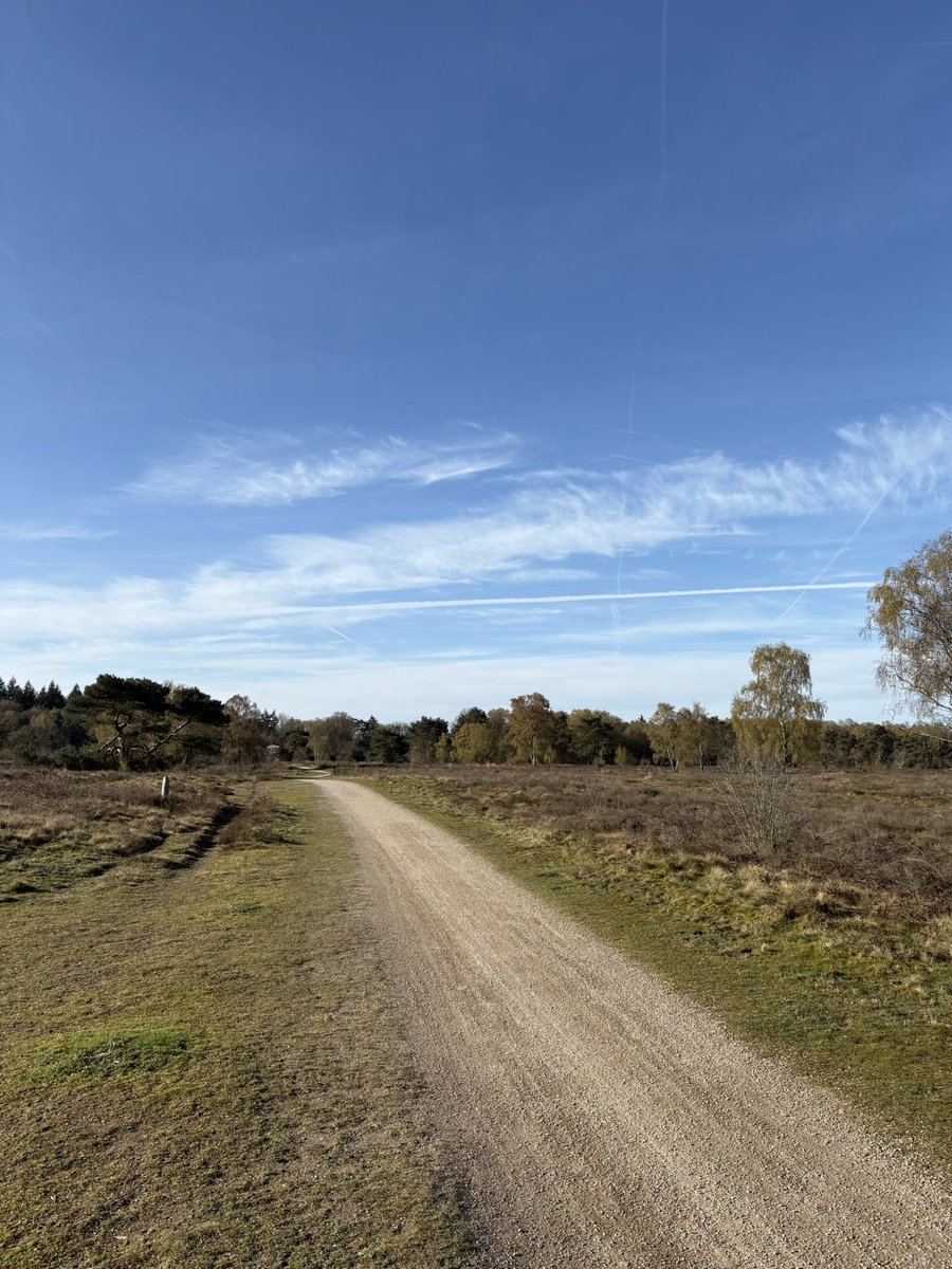 Stephan van Huis tweet media