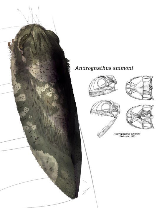 스푸키포레스트 tweet media