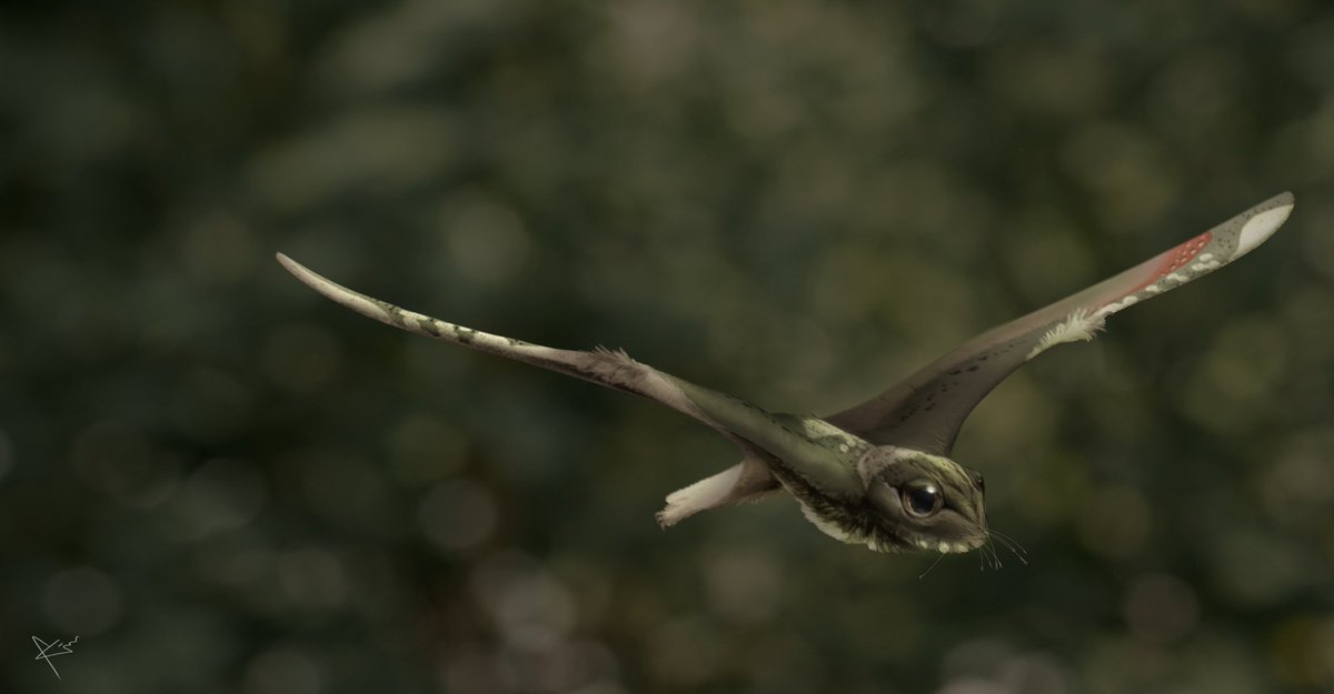 스푸키포레스트 tweet media