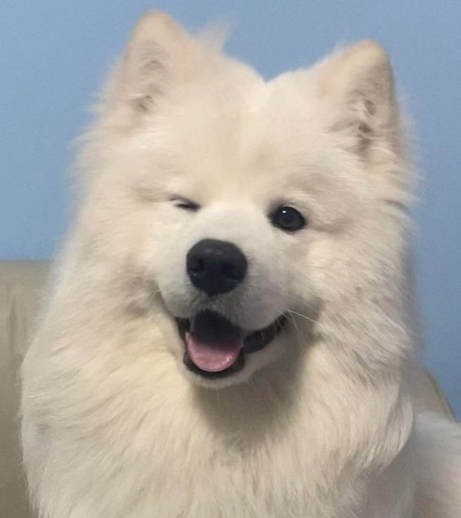 𝒏𝒙𝒐𝒇𝒊𝒅𐙚 tweet media