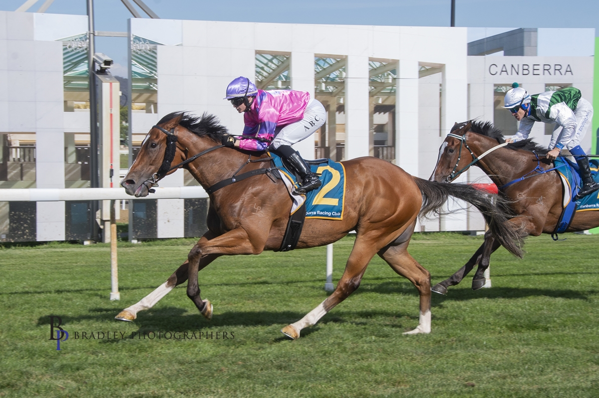 David Pfieffer Racing tweet media