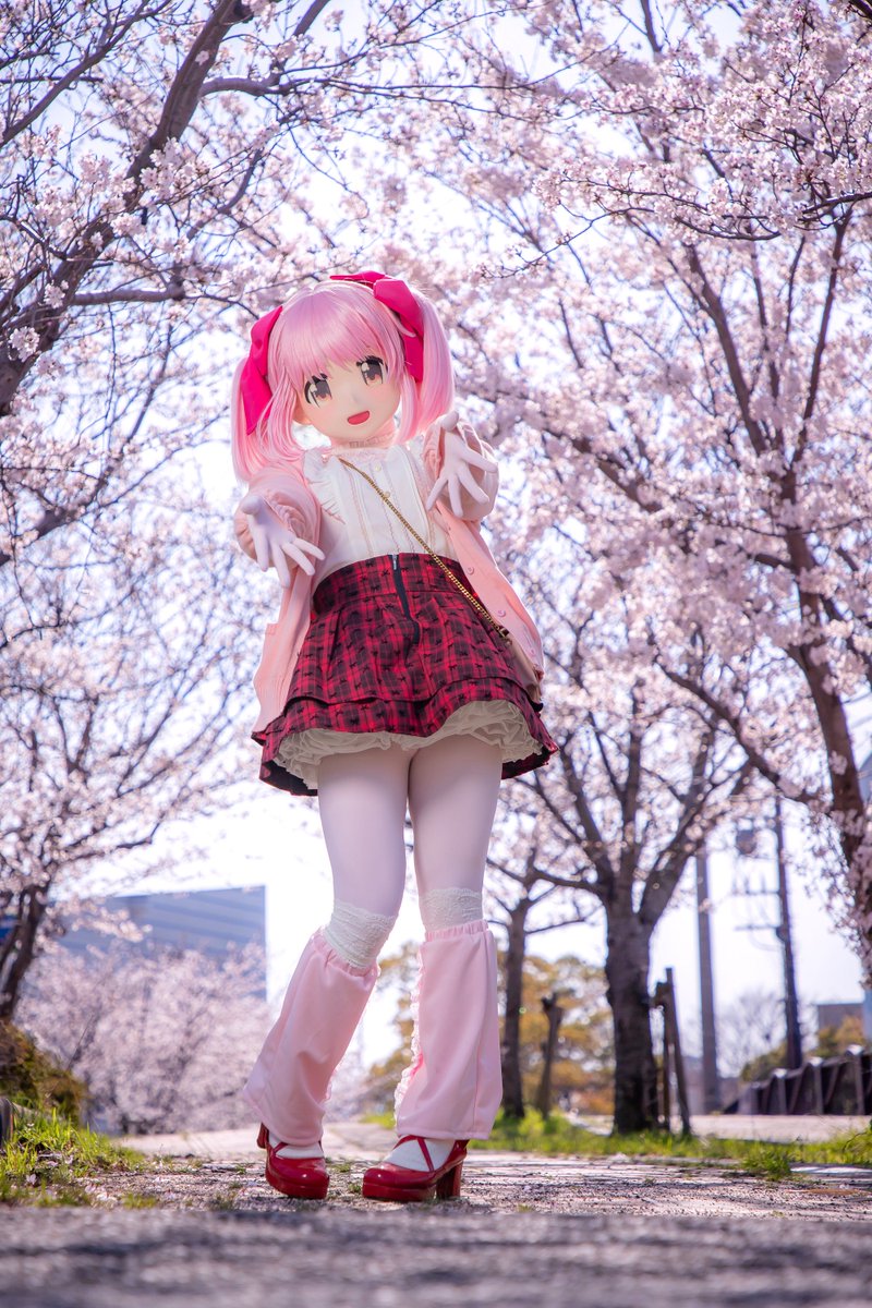 うぃすた tweet media