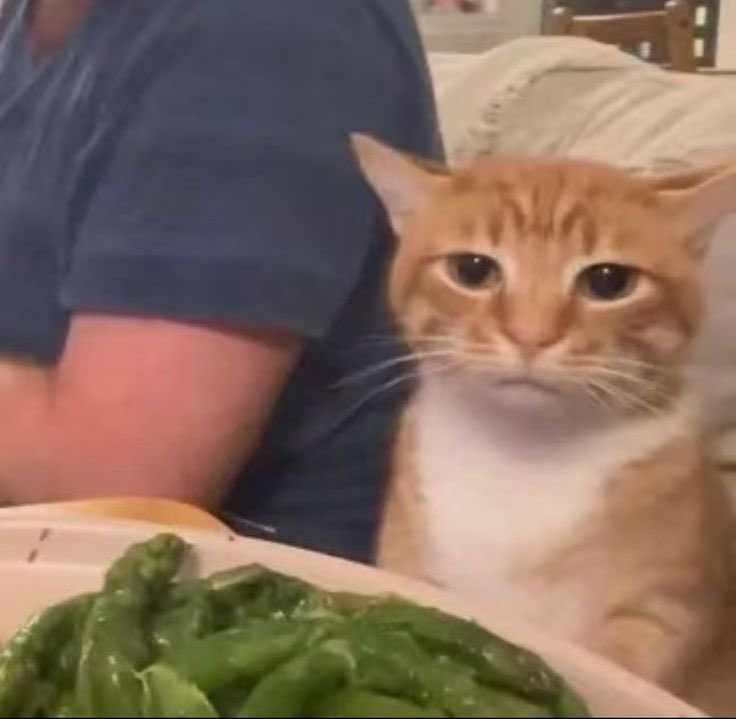 alhena ⋆⭒˚.⋆ tweet media