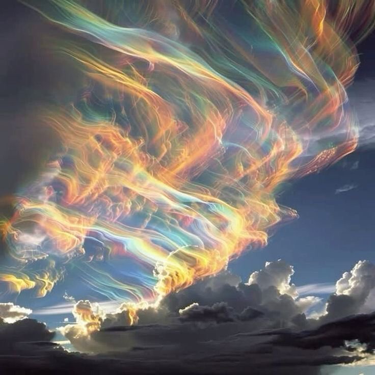 floréa (@naturehealyou) on Twitter photo 