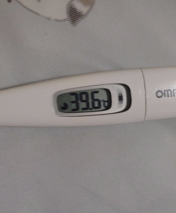 肘当て不要 tweet media