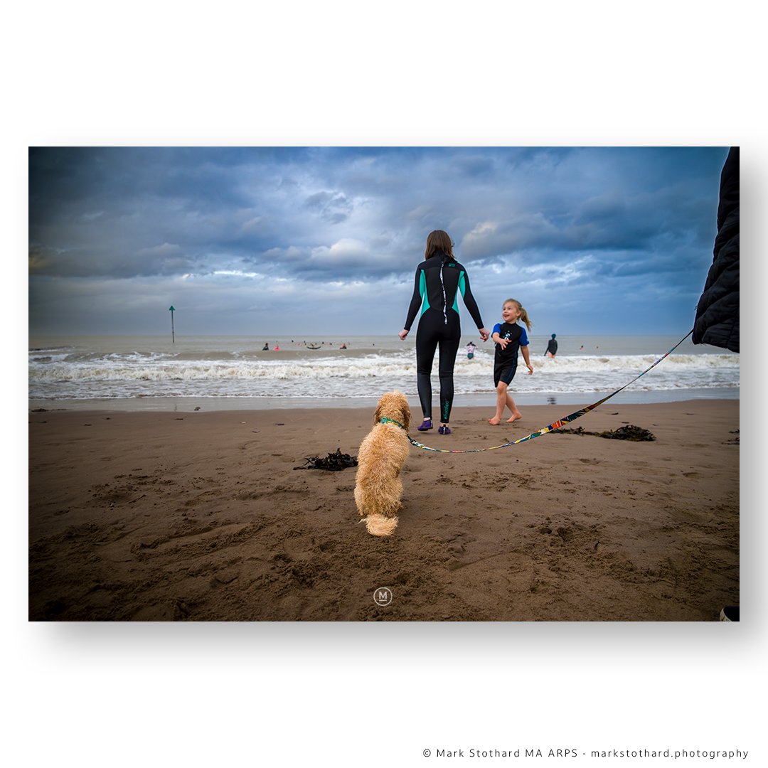 markstothardpho's tweet image. Watching them enter the sea - msp.im/WMA9FH

#minehead #beach #mineheadbeach #newyear #swim