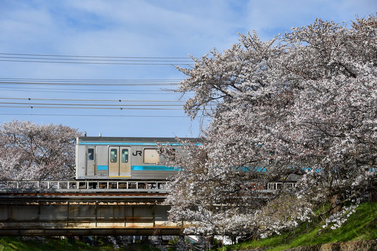 4/5
桜と205系。来年も奈良線で走っていて欲しいなと思いながらシャッターを切りました。

631M NE403
640M NE407
643M NE408