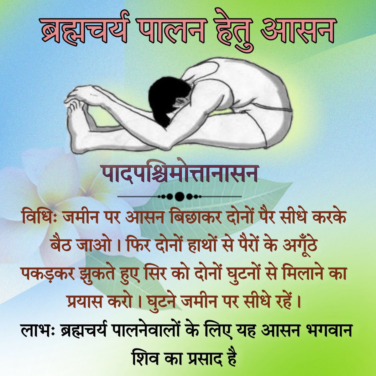 Sant Shri AsharamJi Bapu बताते हैं कि 
जमीन पर आसन बिछाकर दोनों पैर सीधे करके बैठ जाओ। फिर दोनों हाथों से पैरों के अगूंठे पकड़कर झुकते हुए सिर को दोनों घुटनों से मिलाने का प्रयास करो । घुटने जमीन पर सीधे रह  ब्रह्मचर्य पालनेवालों के लिए भगवान शिव का प्रसाद है
#ब्रह्मचर्य_की_महिमा