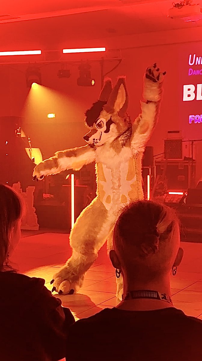 Aora 🍣 🔜FAUN tweet media