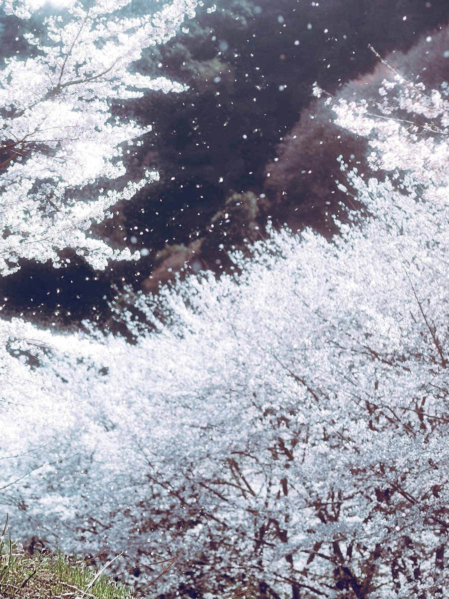 데/でえ tweet media