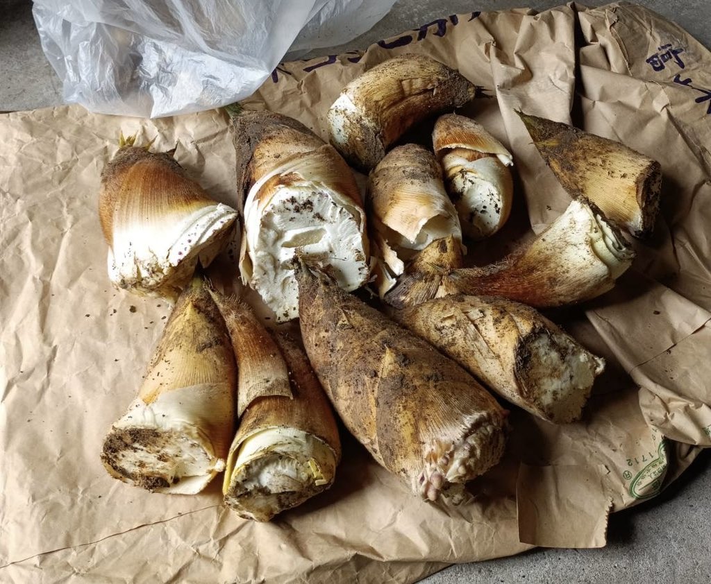 ちーぱ tweet media