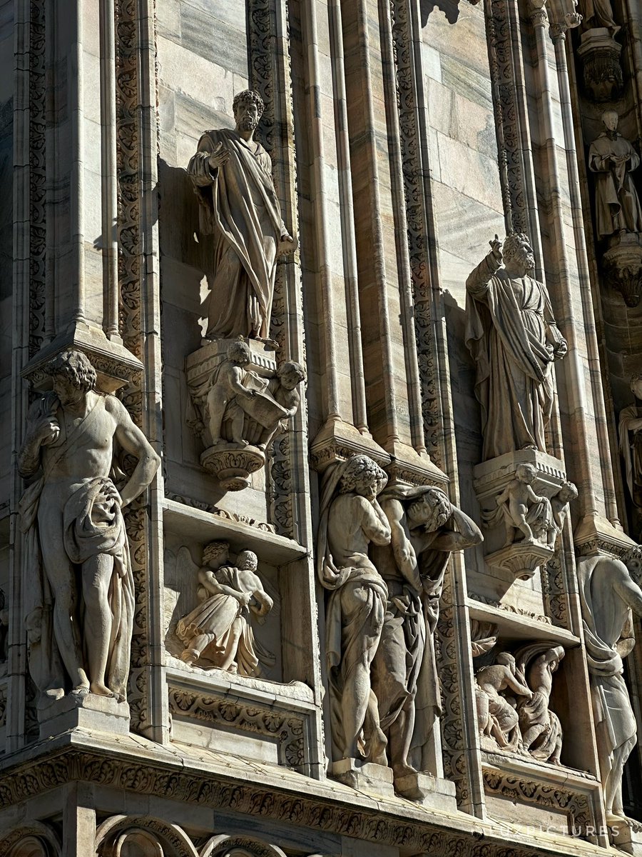 LuzPictures tweet media