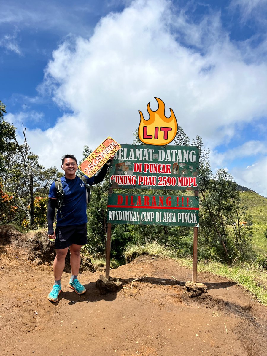 bubblegum tweet media