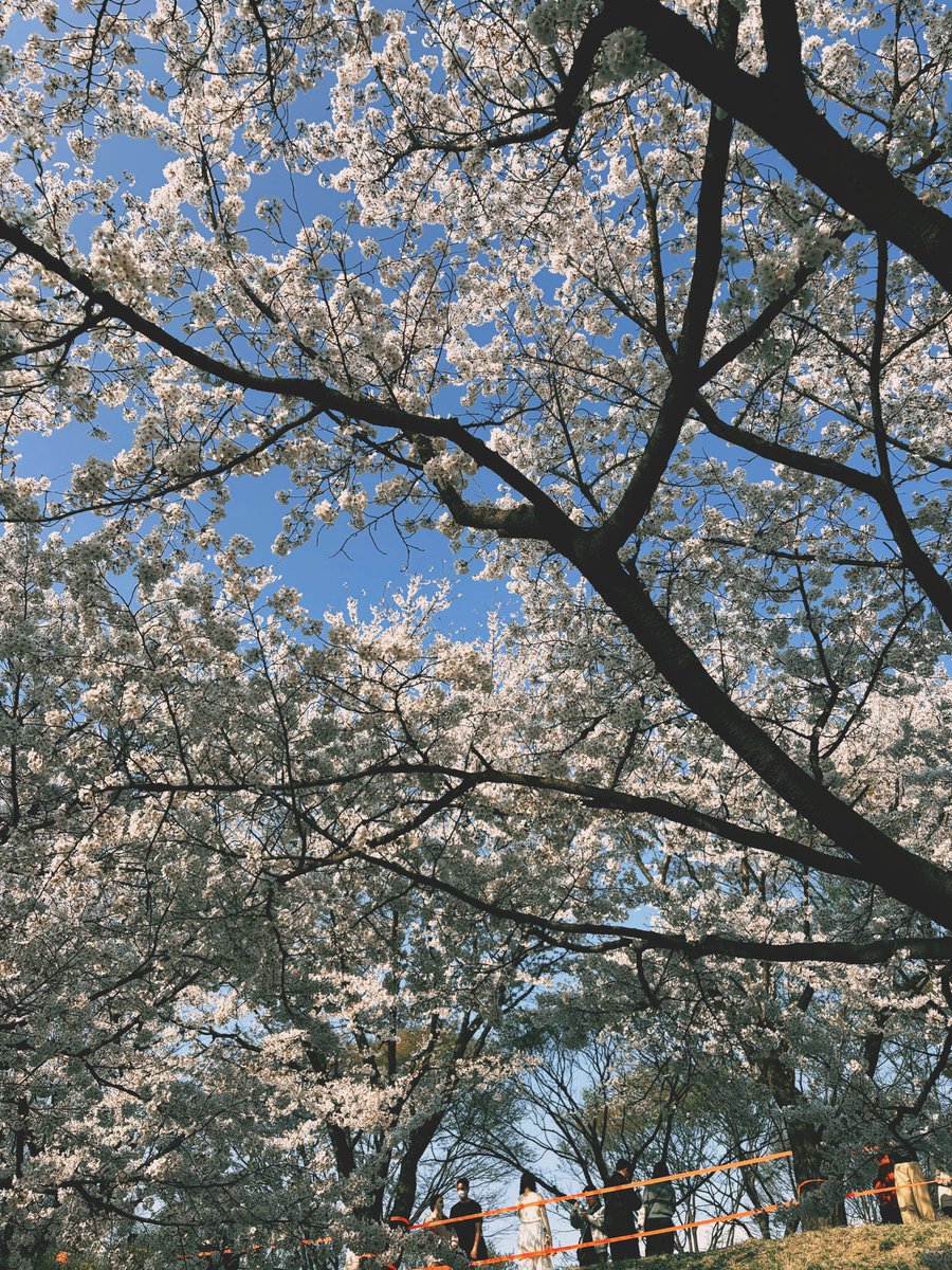 zhoumi周觅조미 tweet media