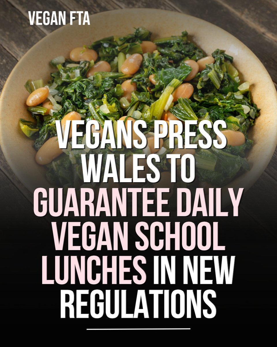 teamveganfta's tweet image. The new Welsh Regulations for primary schools are due to come into effect in October 2026, but vegans have warned that they still do not secure a fully plant‑based lunch. 🍽🌱

👉 Find out more: veganfta.com/articles/2026/…

#wales #cymru #plantbased