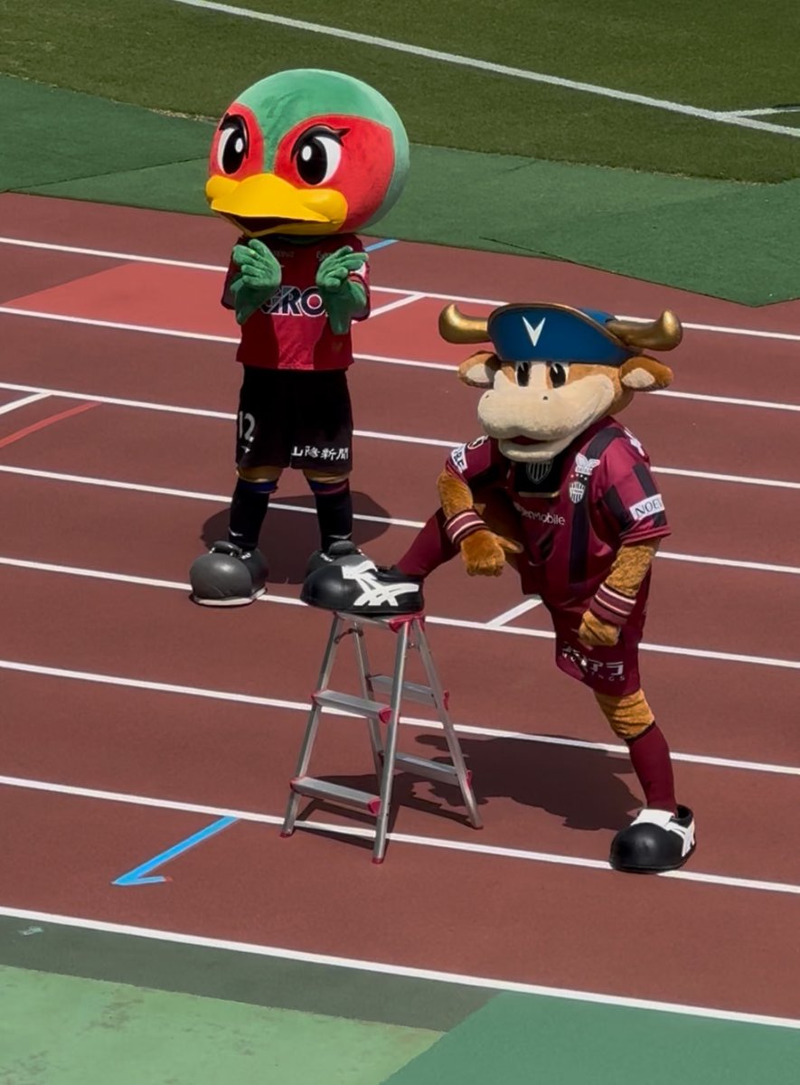 たなかです！ tweet media