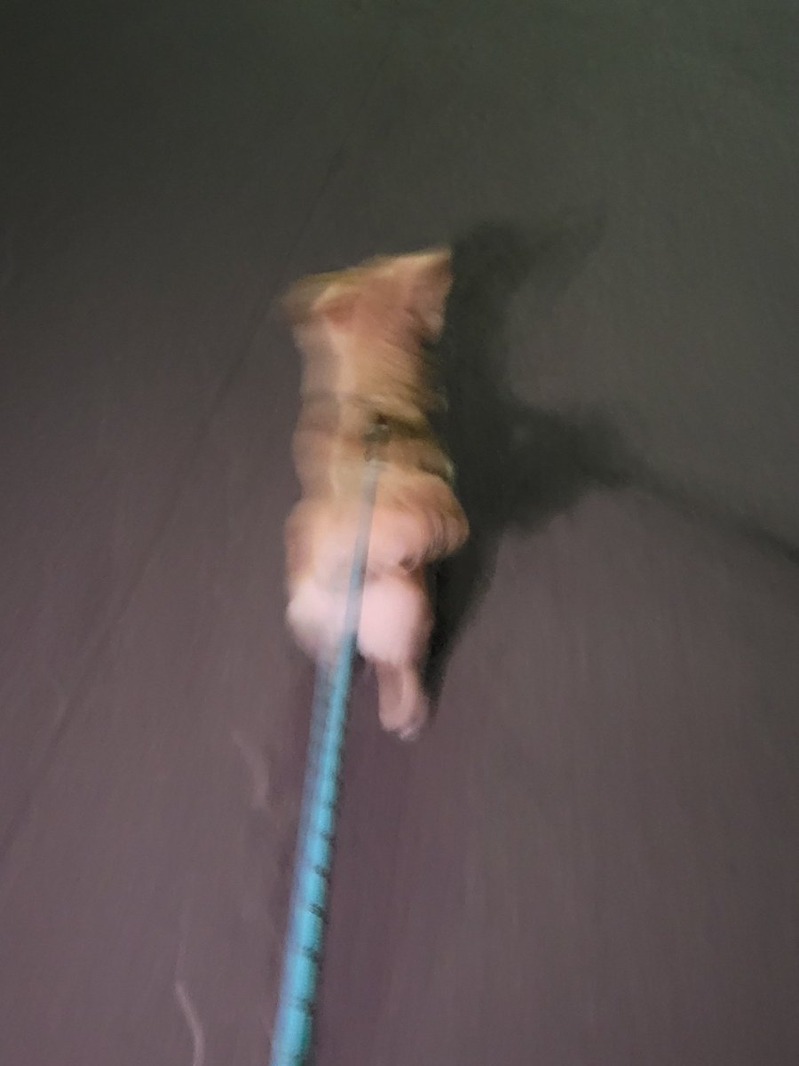 ay…💎 tweet media