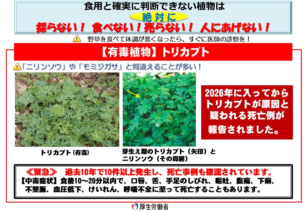 厚生労働省 tweet media