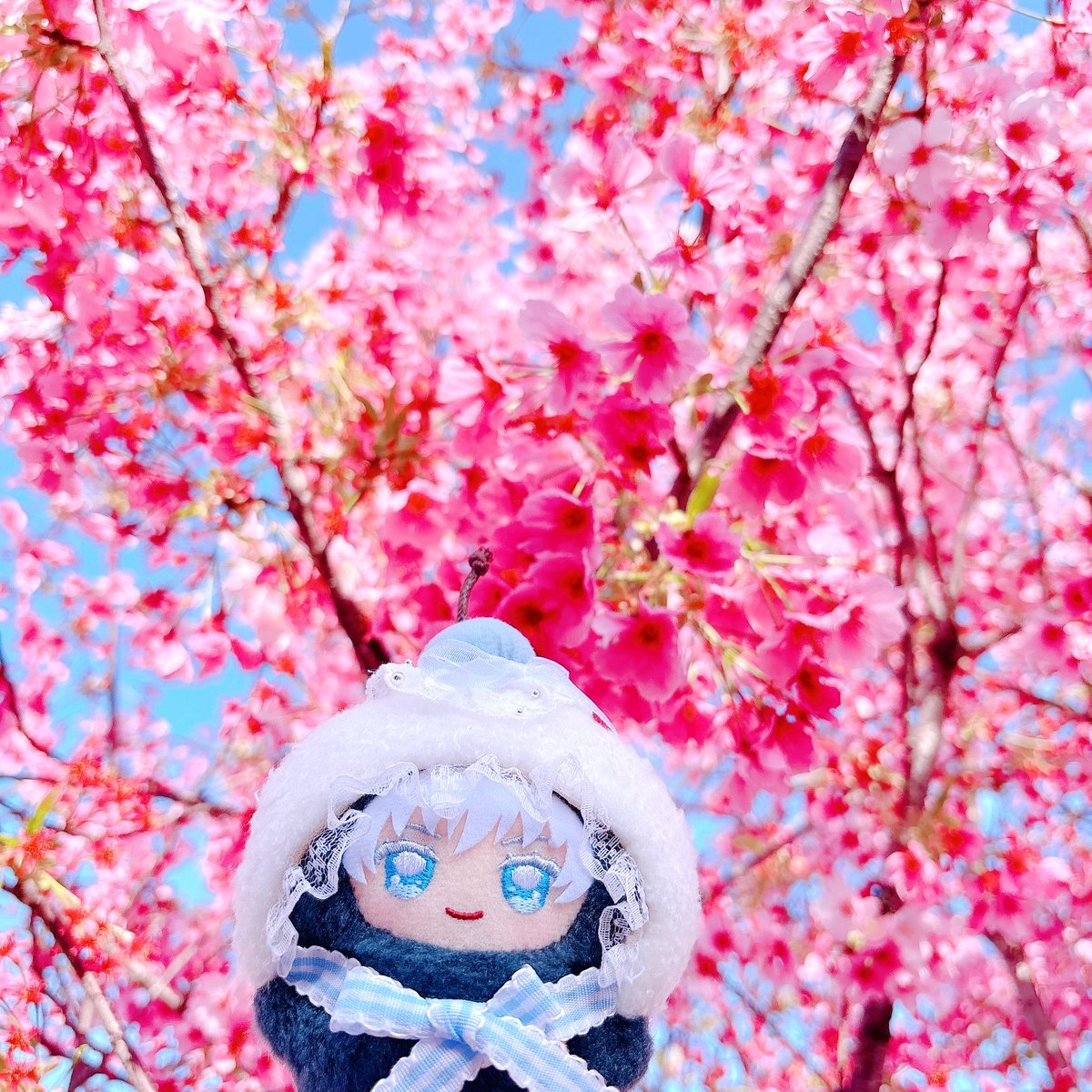 ころもち🩵 tweet media