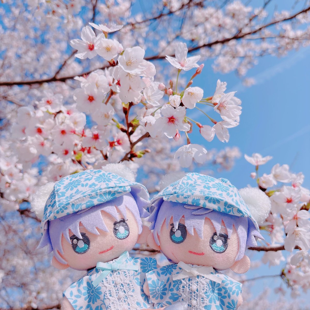 ころもち🩵 tweet media