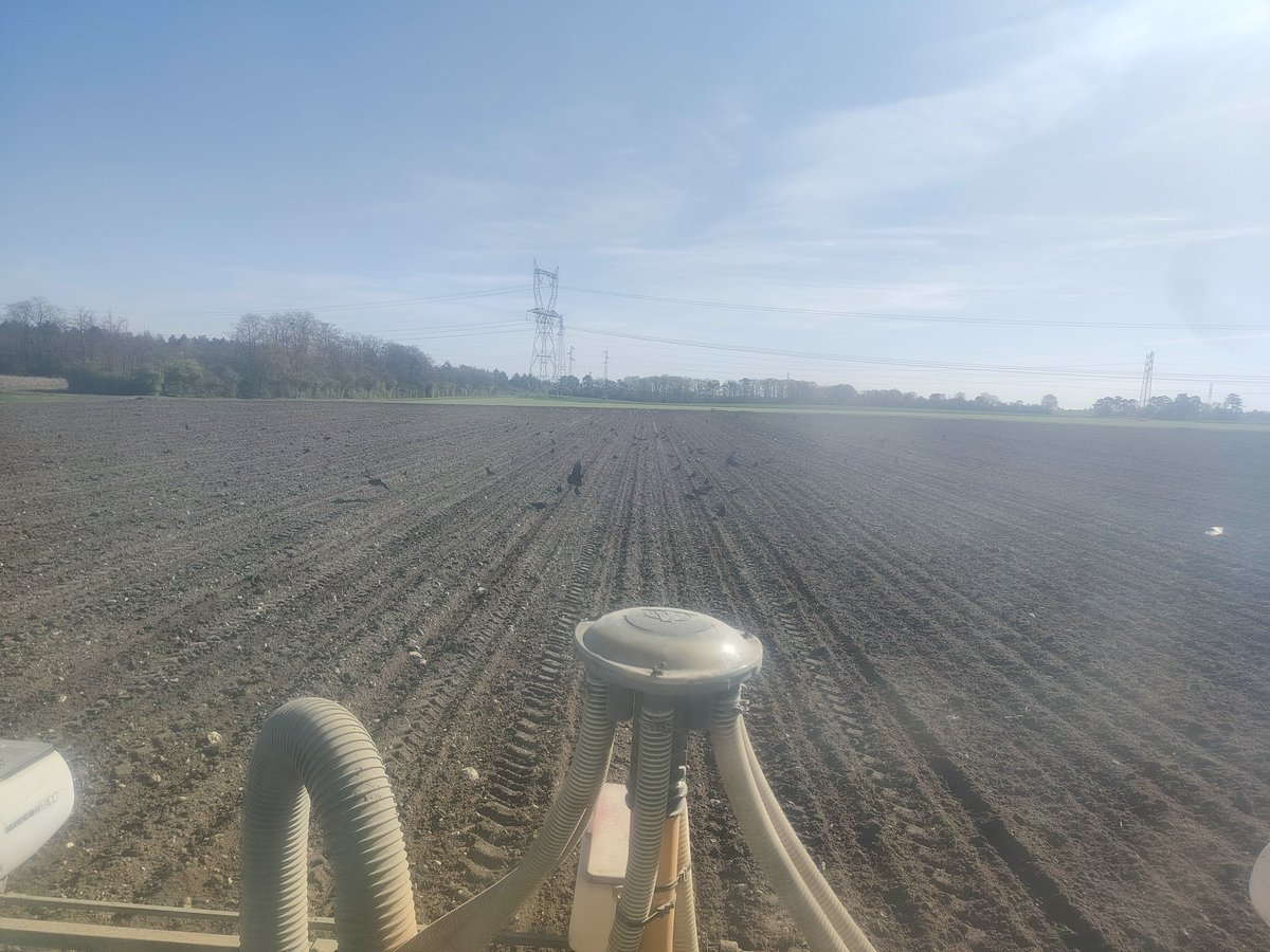 DumDum #NeRienLaisserPasser tweet media