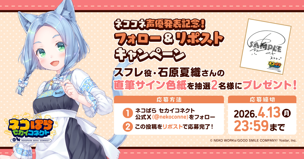 ネコぱら セカイコネクト公式 tweet media