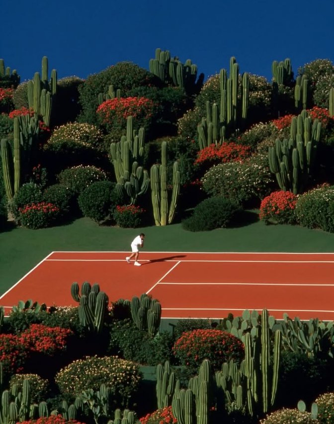 𝑝𝑢𝑟𝑒 tweet media