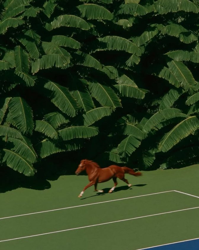 𝑝𝑢𝑟𝑒 tweet media