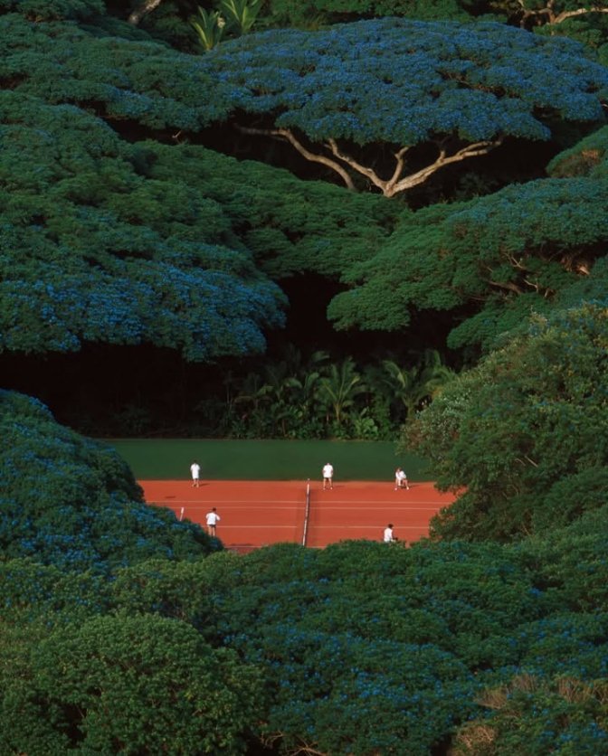 𝑝𝑢𝑟𝑒 tweet media