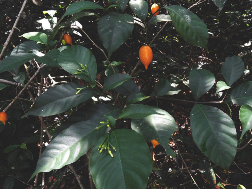 Taylor Sterling tweet media