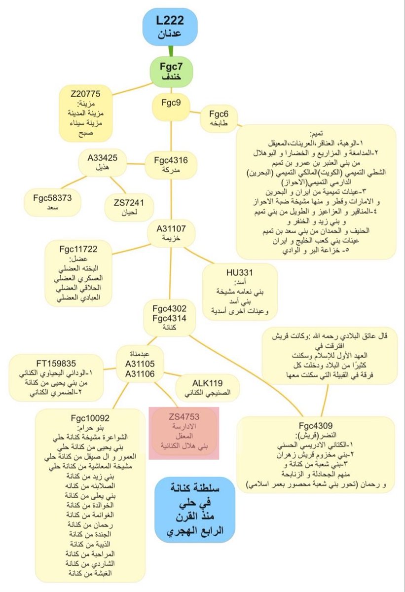 انت تحتاجي ان تثبتي نسبكي اصلا
انتهى امر جينات معكم فقط الغبي يناقشكم تحوركم جميعهم خندفين تميم اصرح منك ومتكتله بتحورك وانت فرع صغير من تحور كناني وكنانة حولك اين ما تنظر و فوقك اسد وعضل و هذيل وبجانبك المعقل والادارسة وابناء حرام الكناني كيف تصبح هوازن ومعك مزينة. جاهلية؟اجبني؟