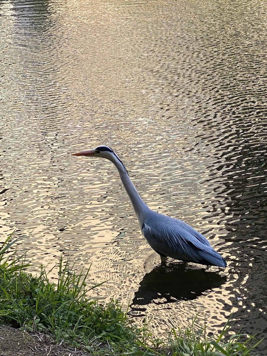 그대들은 그 뭐냐… 화이팅이다!