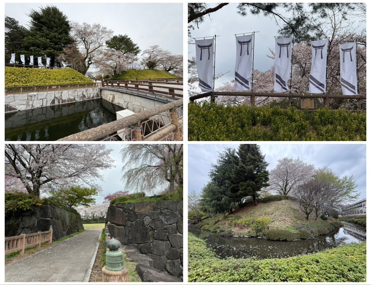 k-masahiro tweet media