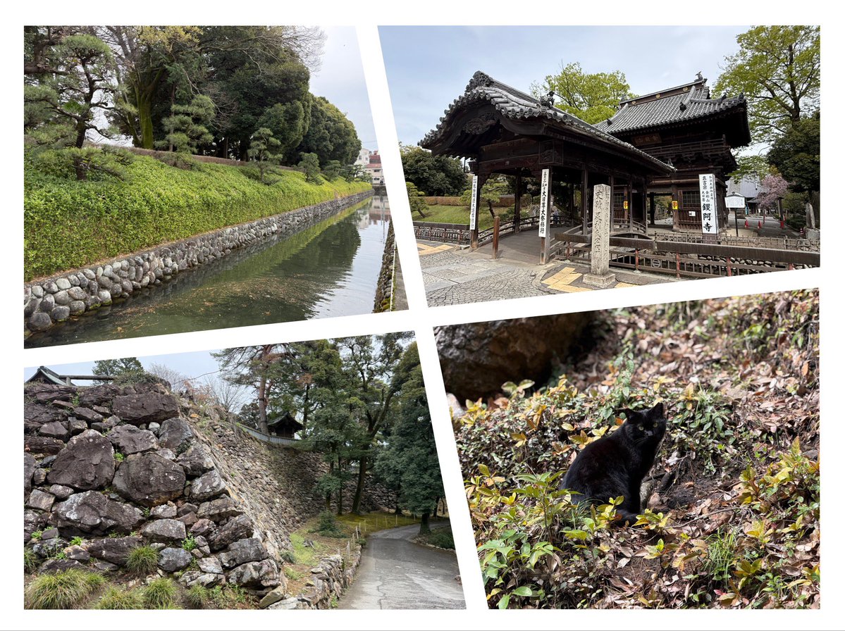 k-masahiro tweet media