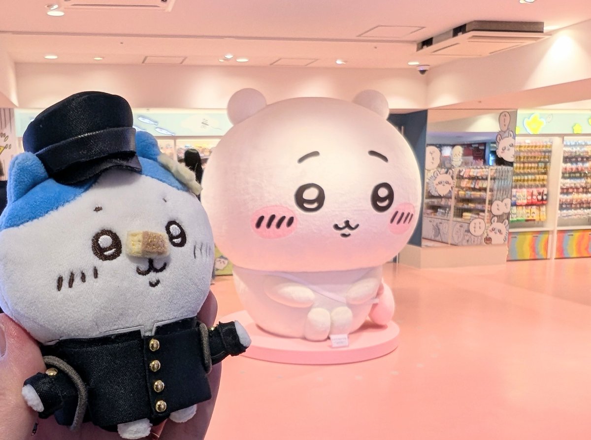 成瀬葉(なせば) tweet media