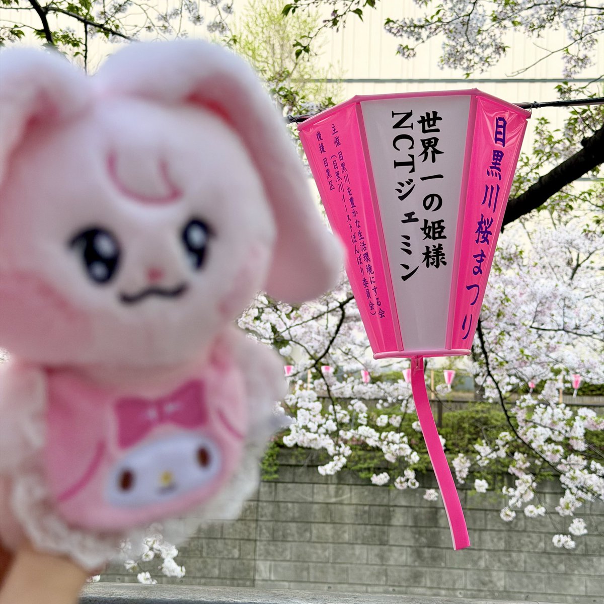 チョコミント食べたい tweet media