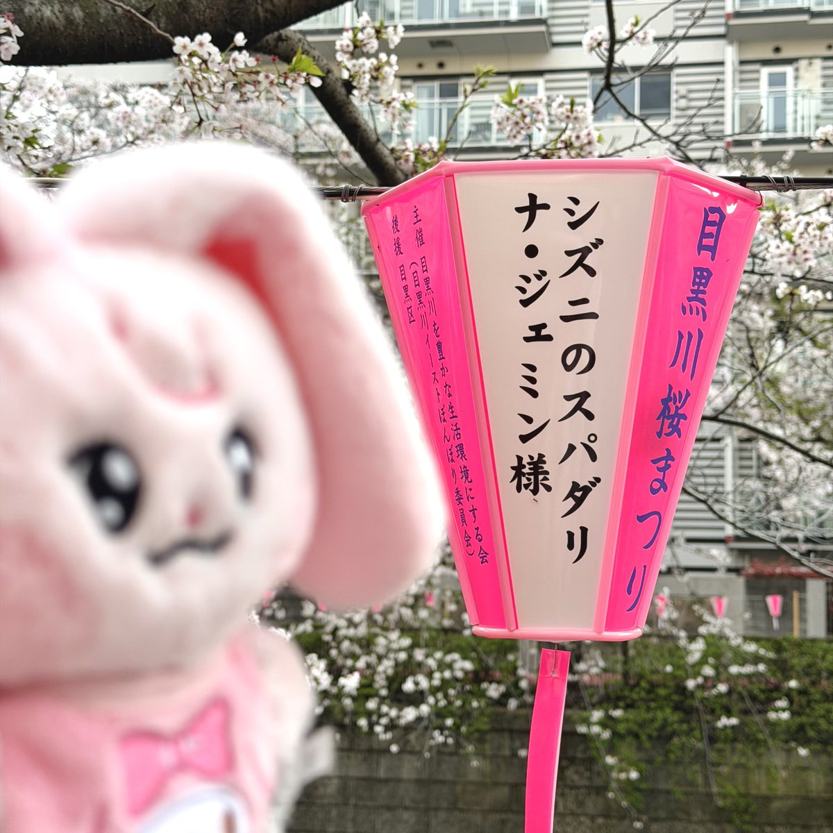 チョコミント食べたい tweet media